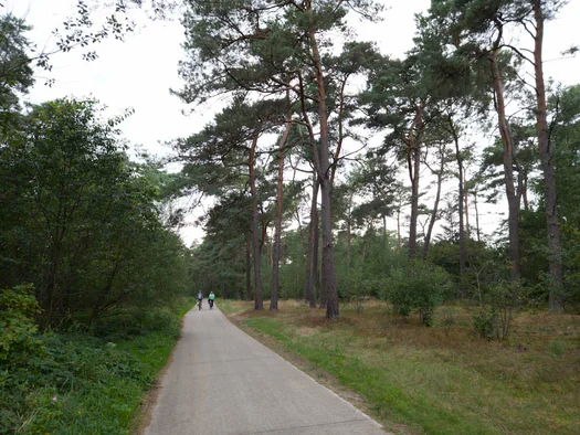 De Hoge Rielen, Kasterlee (Belgium)